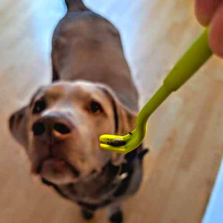 33 Best Pet Products On Amazon For Your Furry Friends