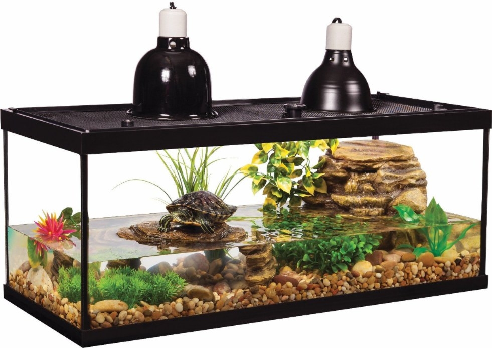 An aquatic turtle deluxe aquarium kit