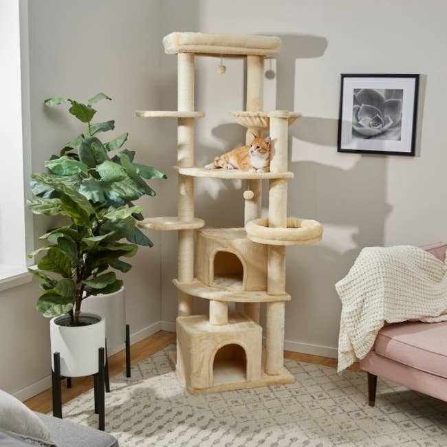 An image of a 76-inch cat tree