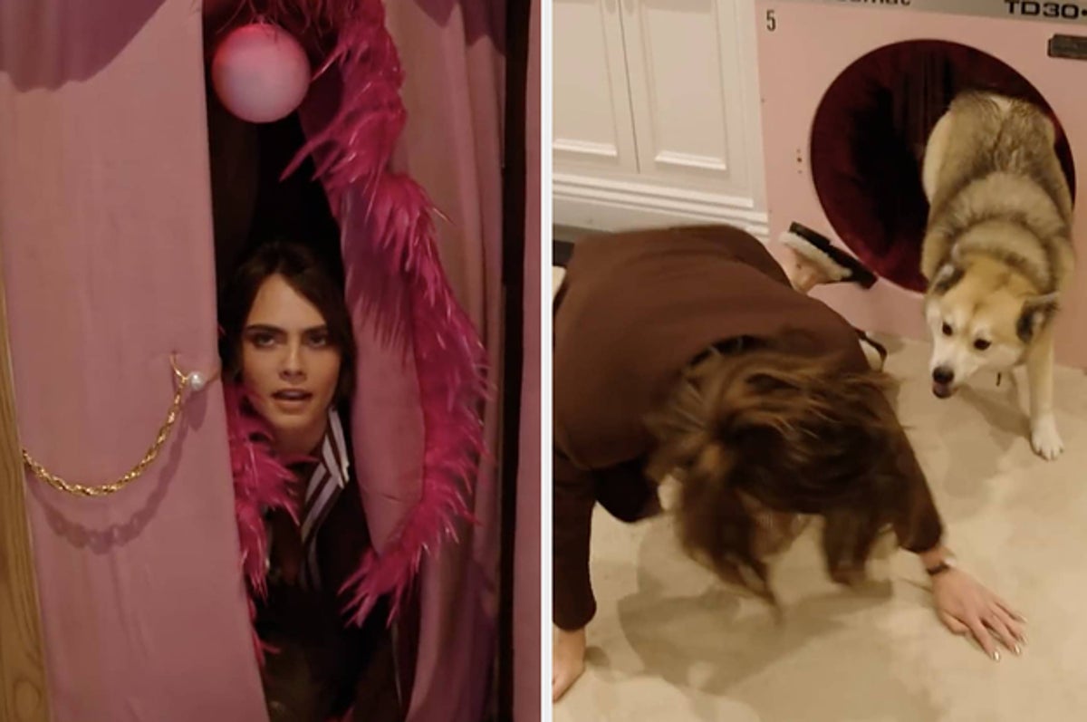 Cara Delevingne Has A Vagina Tunnel In Her Home