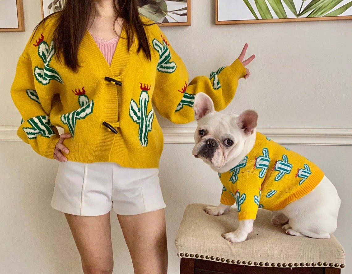 model in yellow cactus cardigan next to french bulldog wearing same sweater