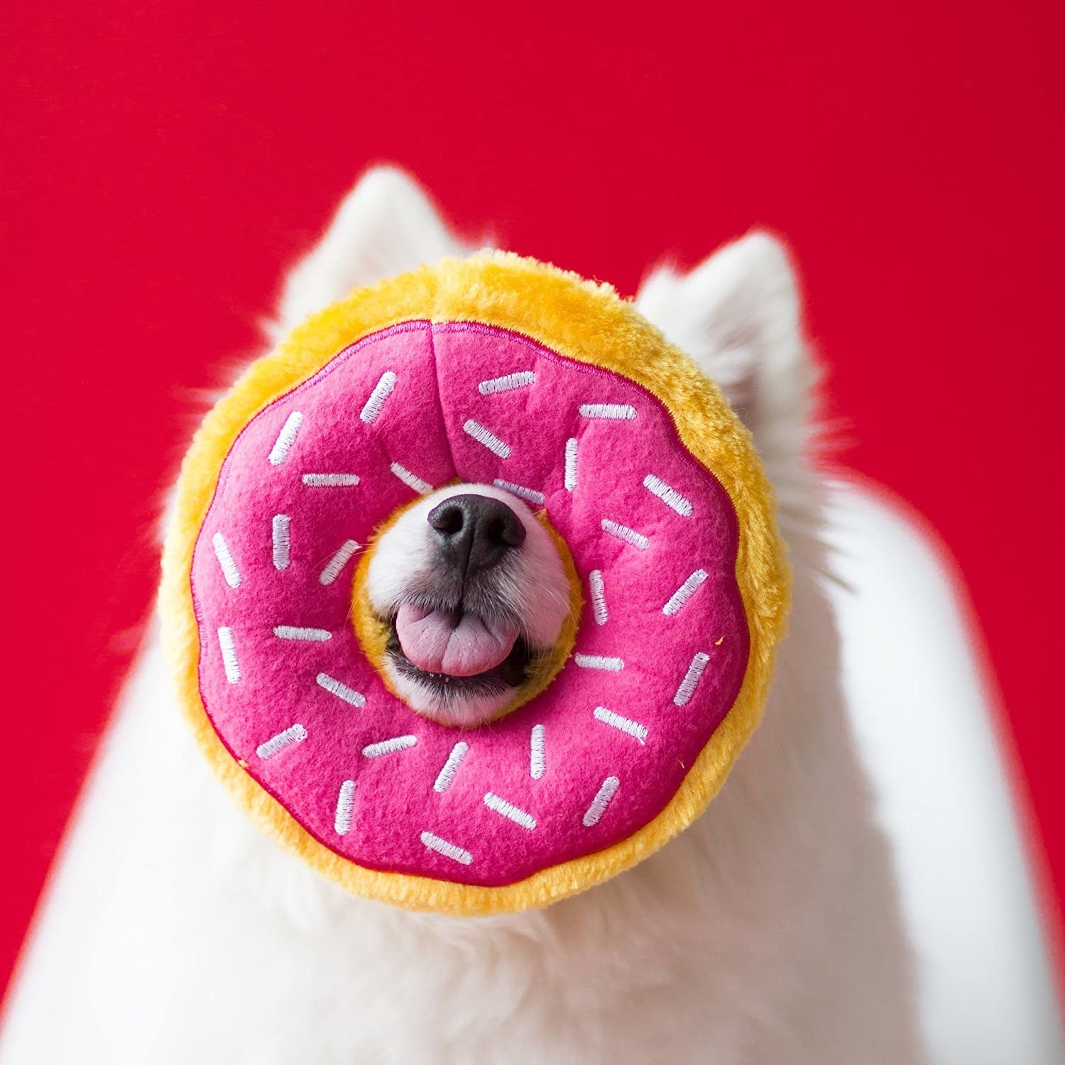 A dog with their nose in the donut toy