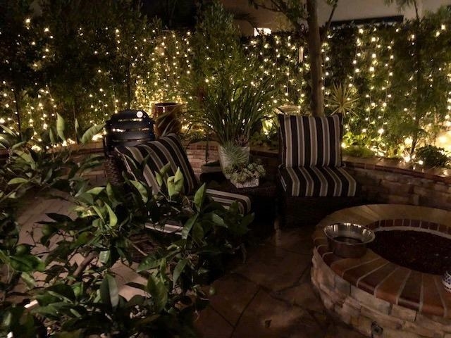 reviewer image of the their backyard with the lights hanging in the bushes