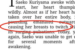 a passage from a novel with the phrase "causing her breasts to twitch" circled