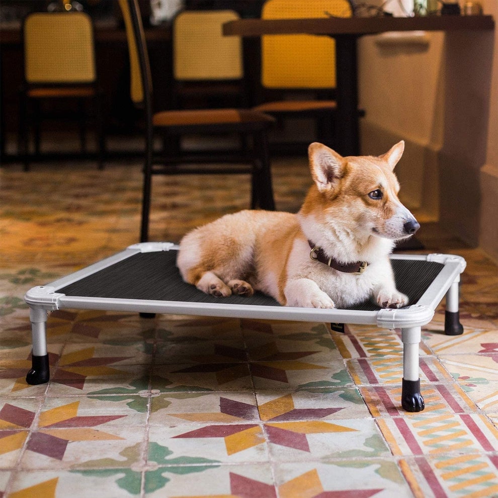 33 Best Pet Products On Amazon For Your Furry Friends