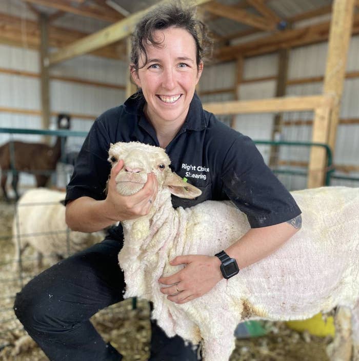 McRose holds a freshly sheared sheep and smiles toward the camera