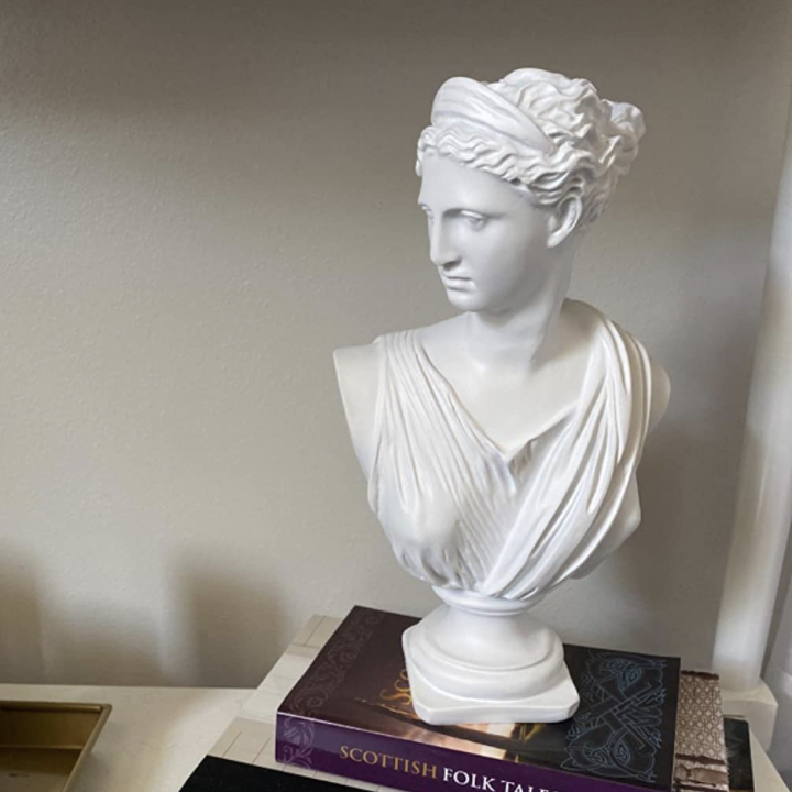 Reviewer's bust is placed on top of a large books