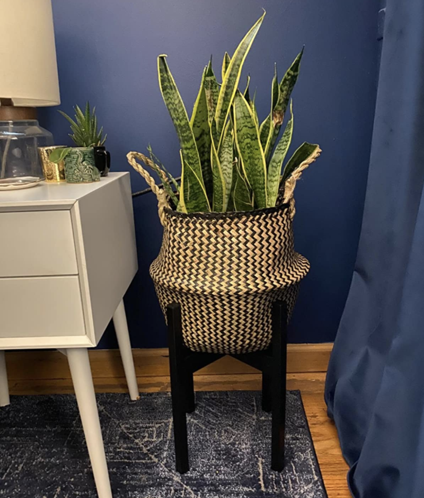 Reviewer photo shows the basket on a stand holding a snake plant