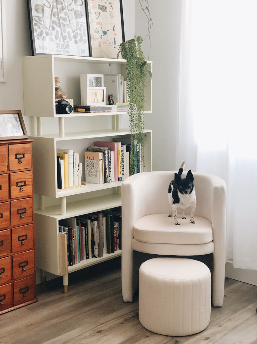 Reviewer's chair is in a corner of a room and a tiny dog is standing on it