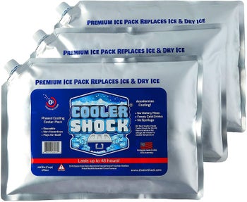 A set of three reusable ice packs