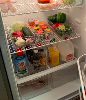 A customer review photo of their organized fridge