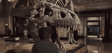 Ben Stiller in the dinosaur exhibit in the movie &quot;Night at the Museum&quot;