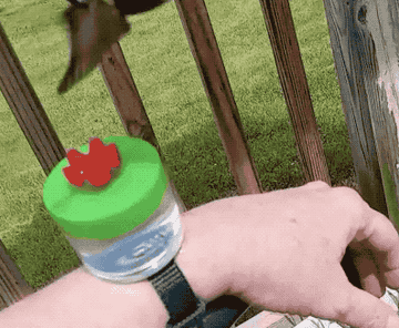 gif of hummingbird drinking from container of sugar water tied to wrist