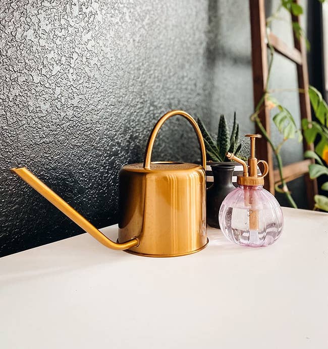 reviewer photo of the gold watering can next to mister bottle