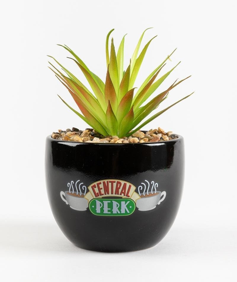 black ceramic planter with Central Perk logo on the front and a plant inside