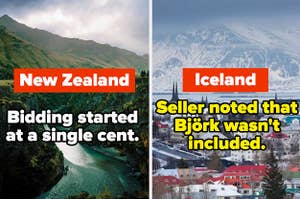 New Zealand: Bidding started at a single cent. Iceland: Seller noted that Bjork wasn't included