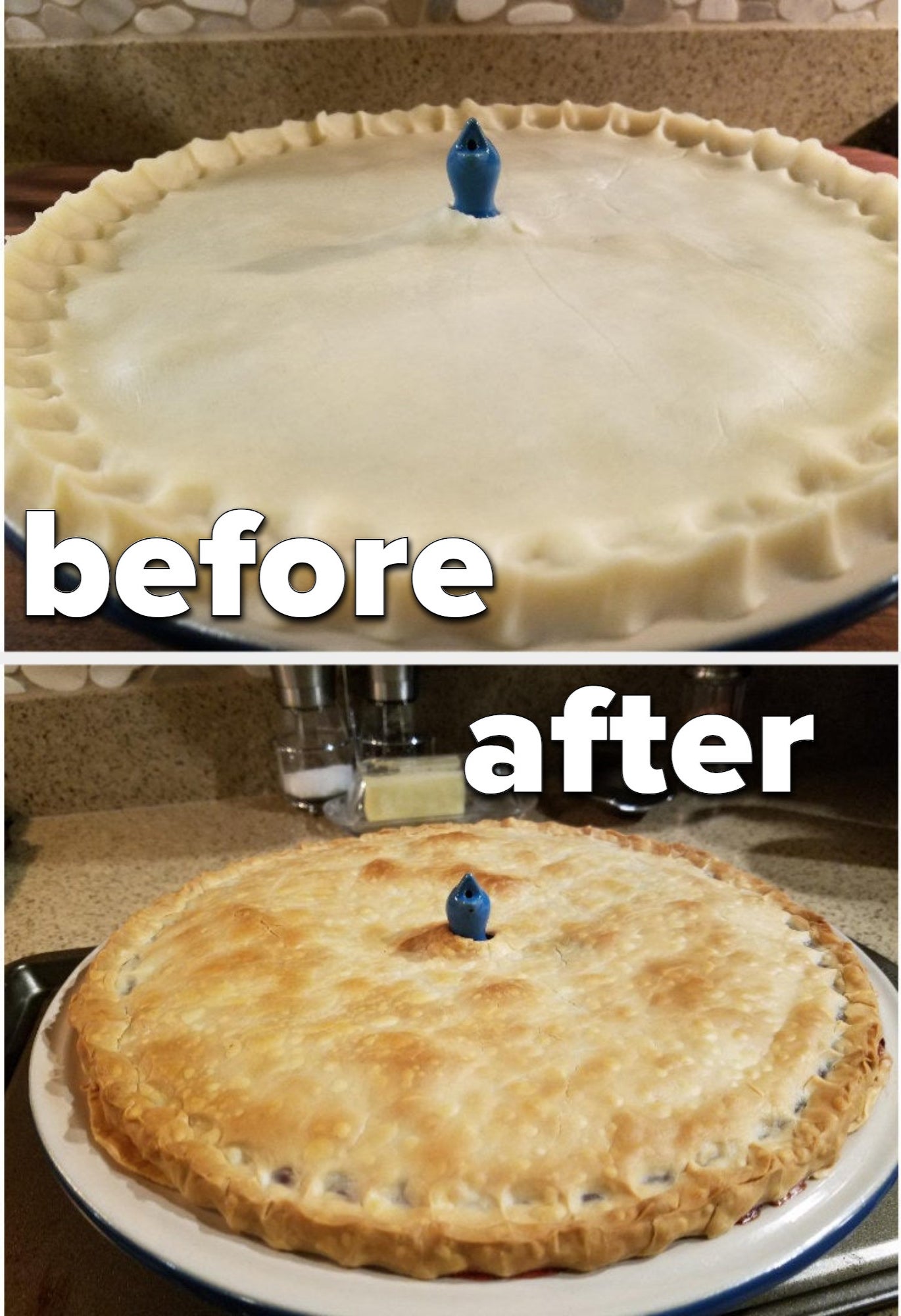 a pre cooked and cooked pie with the pie bird in the center