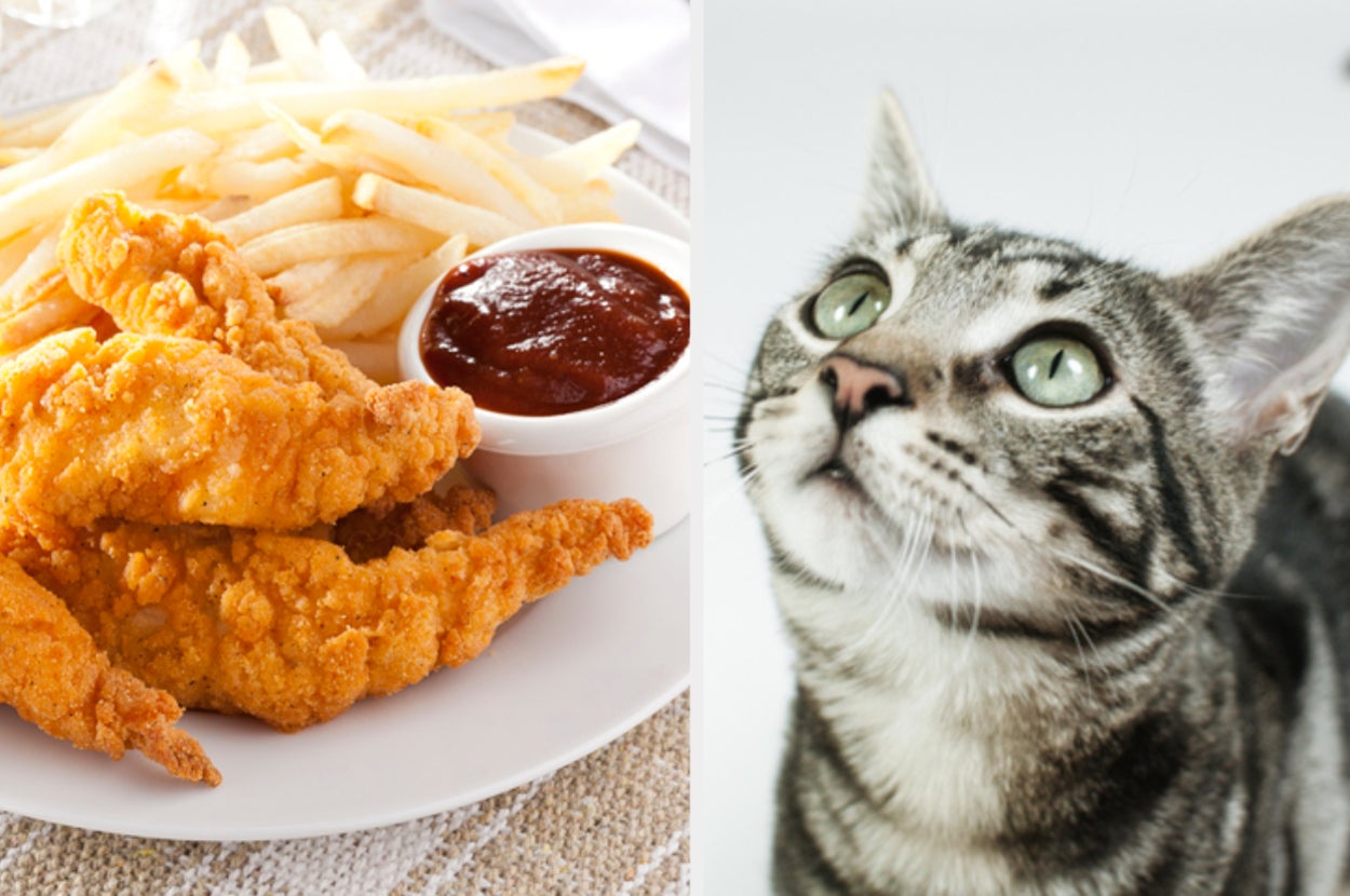 Chicken fingers and fries are on the left with a cat looking up on the right