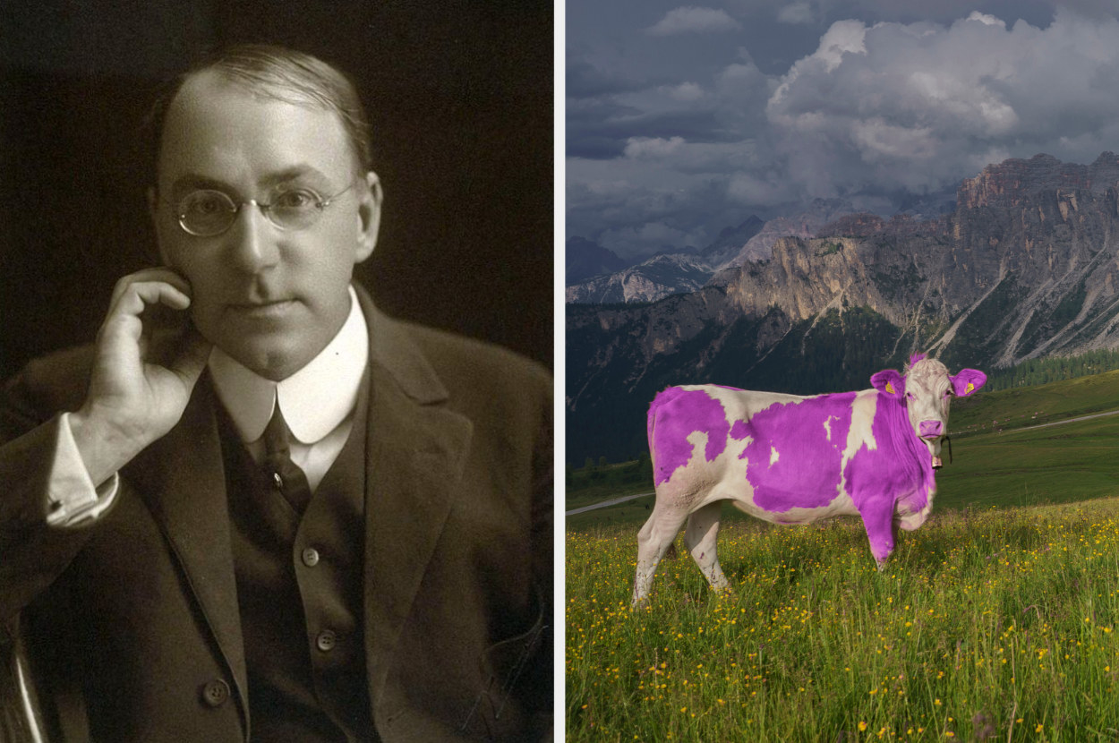 Gelett Burgess next to an image of a purple cow in a field