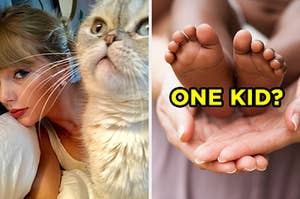 On the left, Taylor Swift taking a selfie with her cat, Olivia, and on the right, someone holding a newborn baby's feet labeled "one kid?"