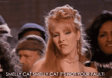 Phoebe performing in a professionally produced music video for smelly cat