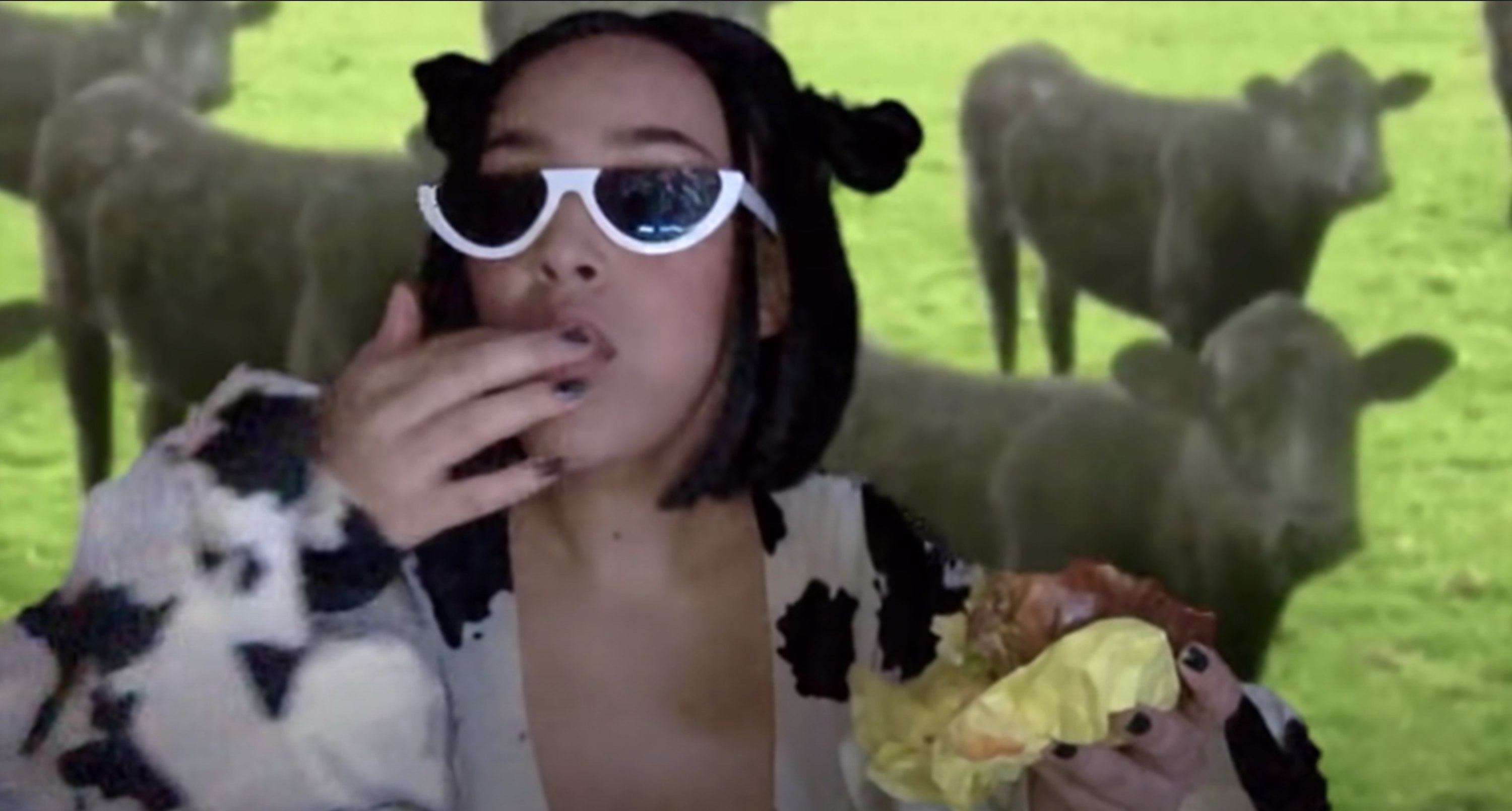 Doja Cat Meme PFP