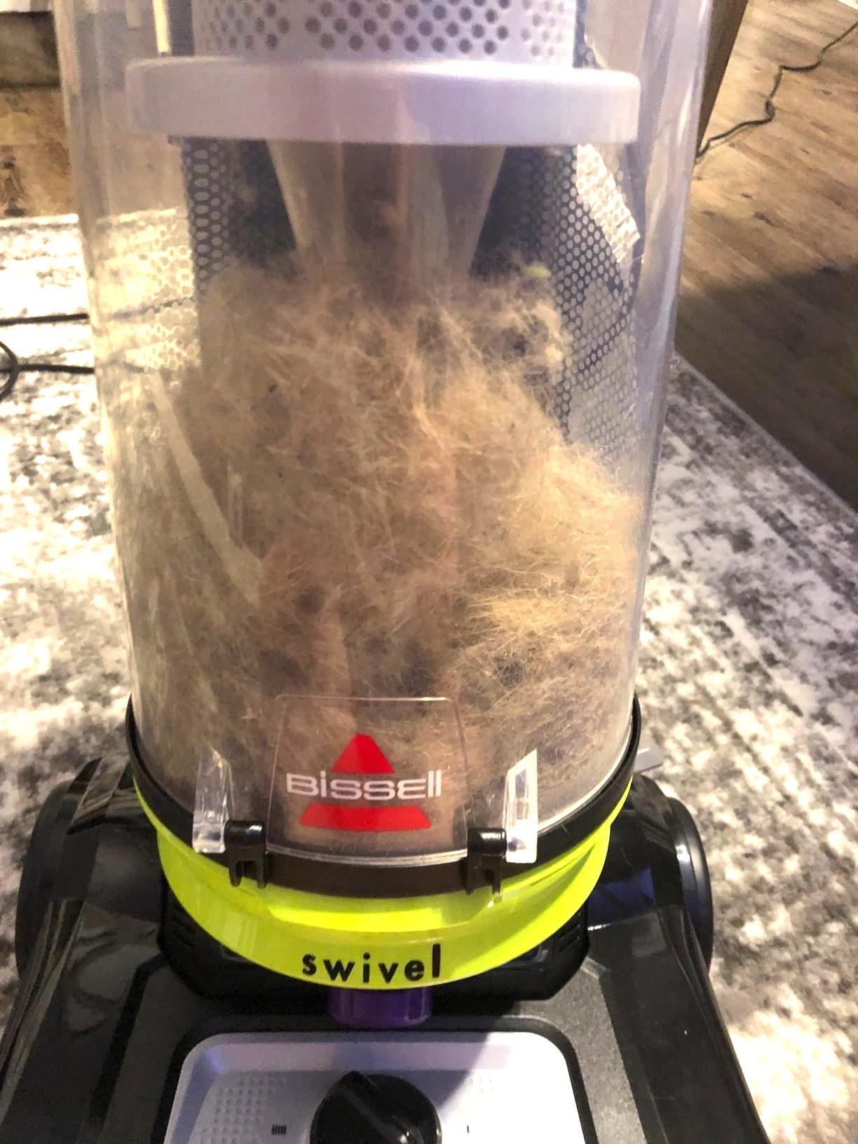 reviewer showing the bissell vacuum full of pet hair