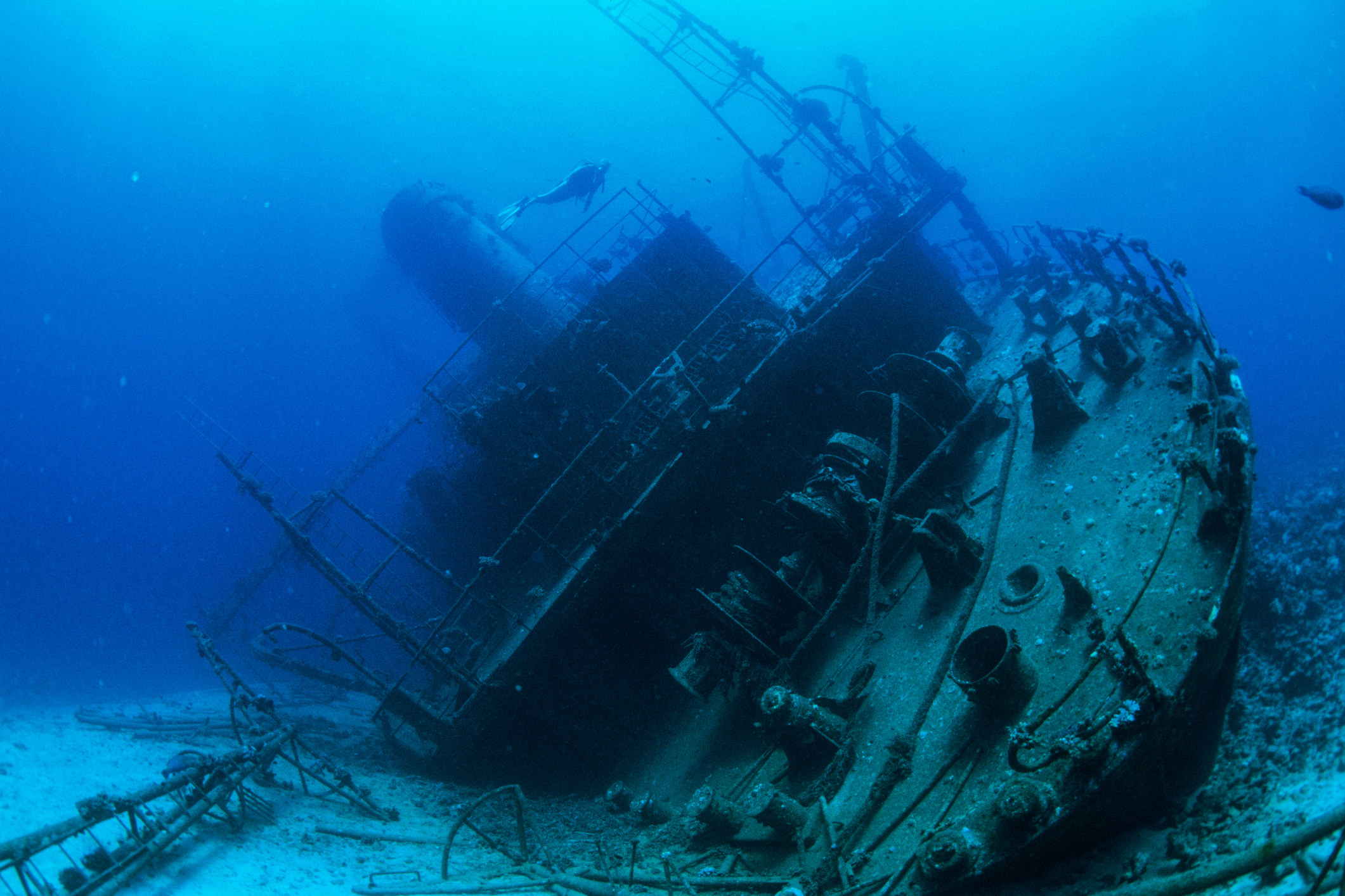 diver exploring ship at bottom of Red Sea