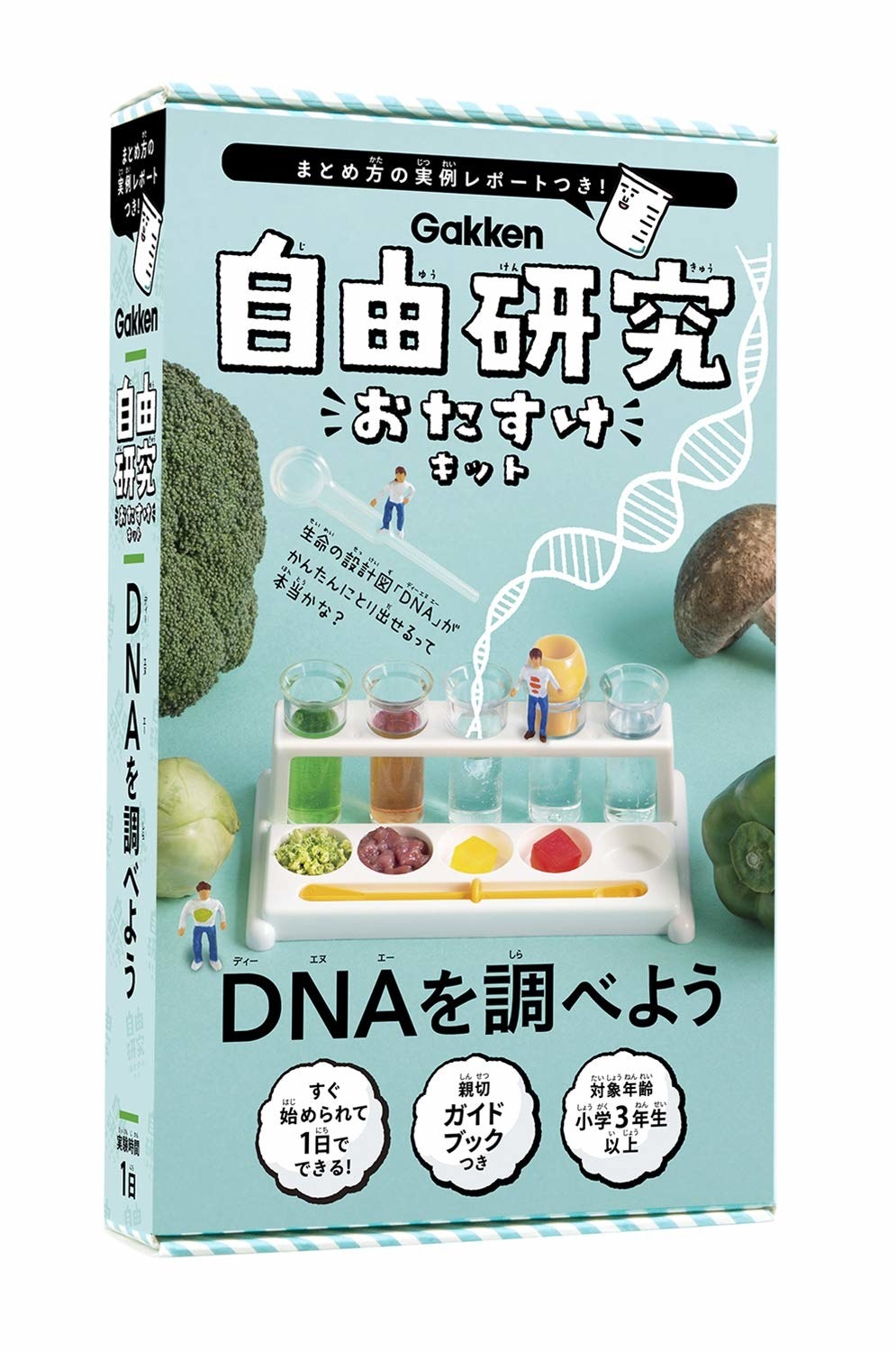 Dnaを調べよう 工作の域こえた すごい自由研究セット 15選