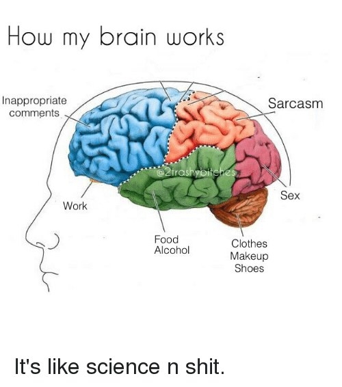 Meme of brain compartmentalised into sections: inappropriate comments, sarcasm, work, food and alcohol, clothes makeup shoes and sex