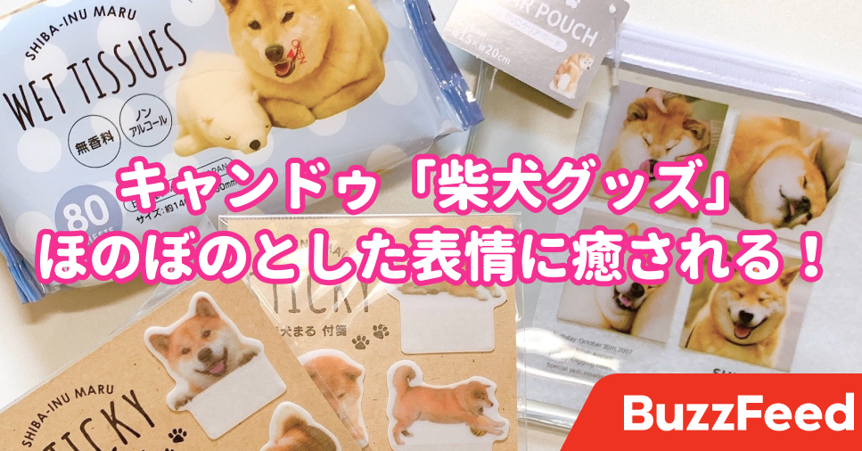 キャンドゥで見つけた 柴犬グッズ が可愛すぎてズルい 思わず衝動買いしちゃったよ キャンドゥで見つけた 柴犬グッズ が可愛すぎてズルい 思わず衝動買いしちゃったよ