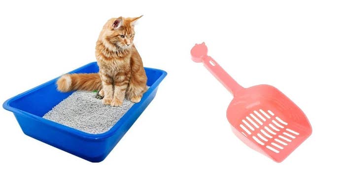 A cat sitting in a litter box with a scooper.