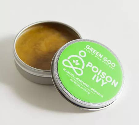 An open tin of poison ivy balm