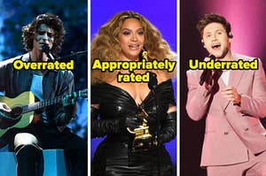 Shawn Mendes labeled "overrated," Beyoncé labeled "appropriately rated," and Niall Horan labeled "underrated"