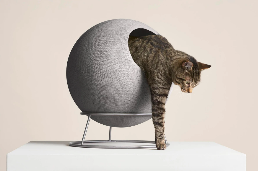 Cat climbing out of round bed on thin metal platform