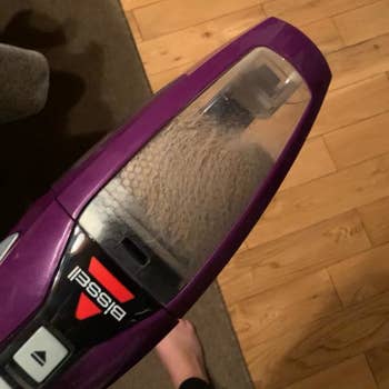 reviewer photo holding the purple vacuum, full of pet hair/dust