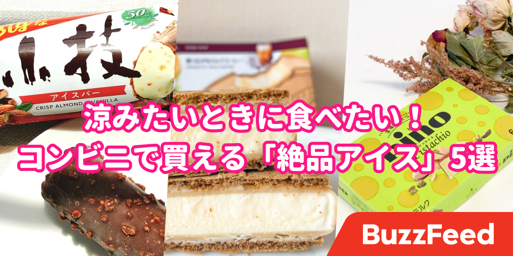 通年で売ってほしい まとめ買いしたい 激うまコンビニアイス 5選