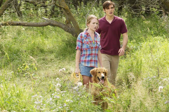 Two characters look concerned while walking through a field with their dog