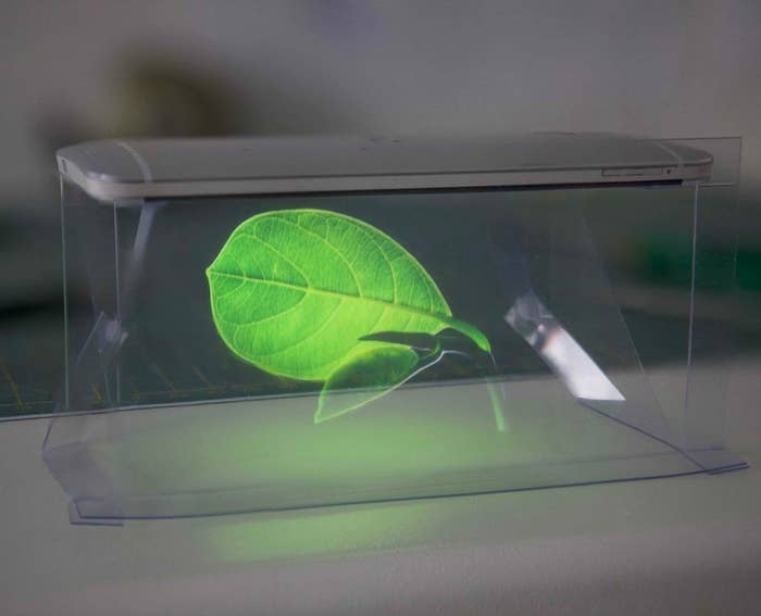 leaf projected onto clear display 