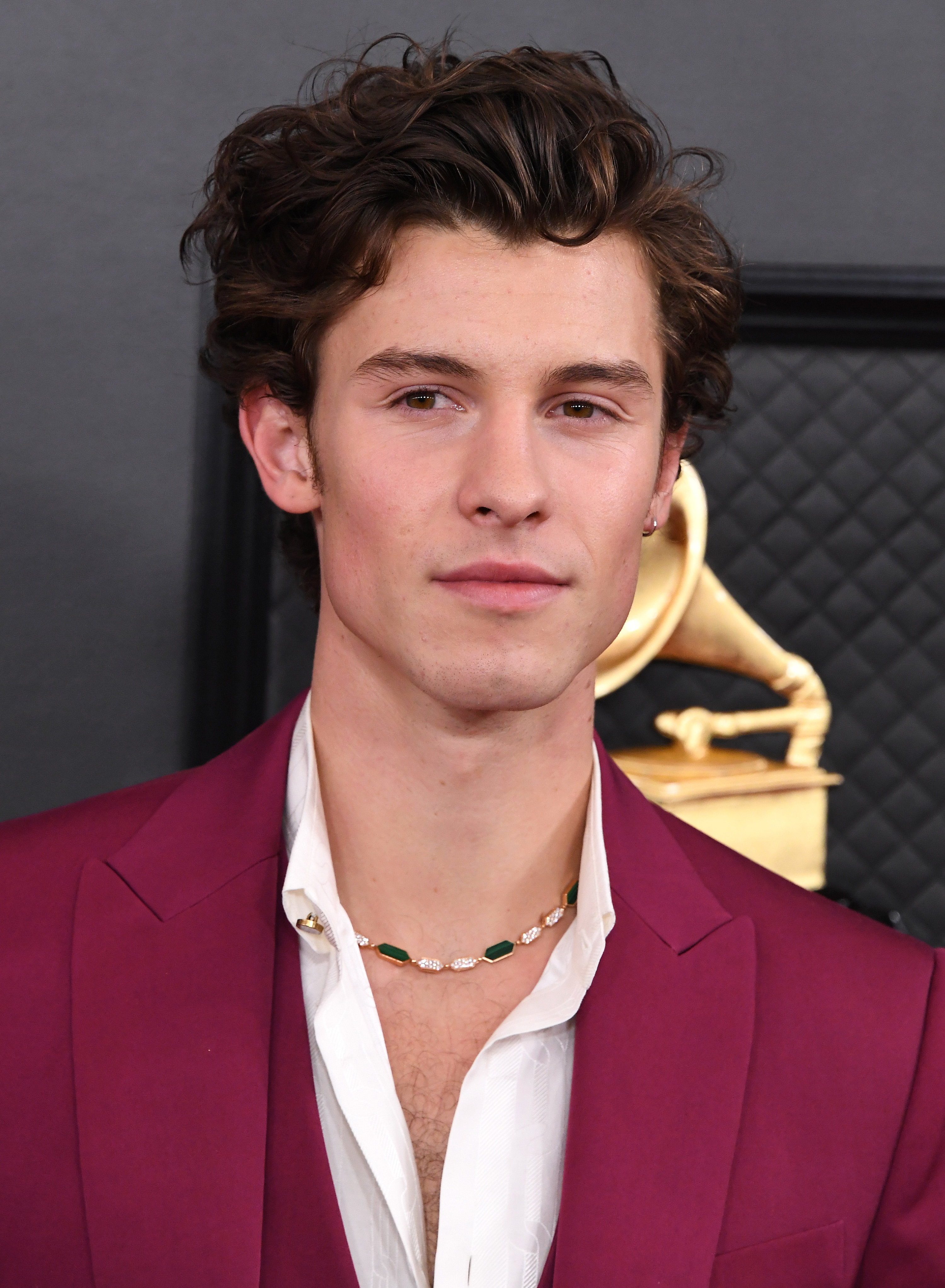 Shawn Mendes arrives at the 62nd Annual Grammy Awards in Los Angeles
