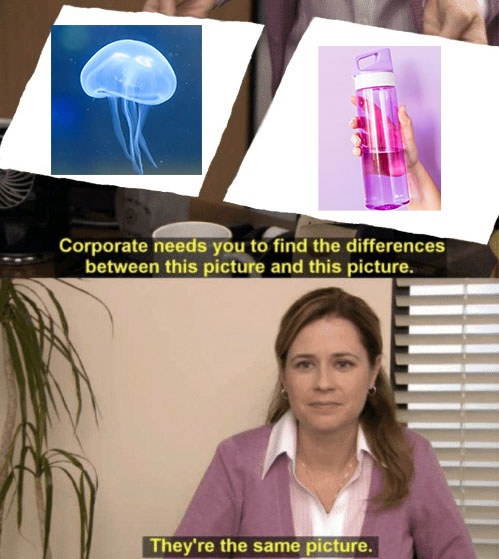 &quot;corporate needs you to find the differences, they&#x27;re the same picture&quot; meme from &quot;The Office&quot; using a picture of a jellyfish and a picture of a hydro flask with water
