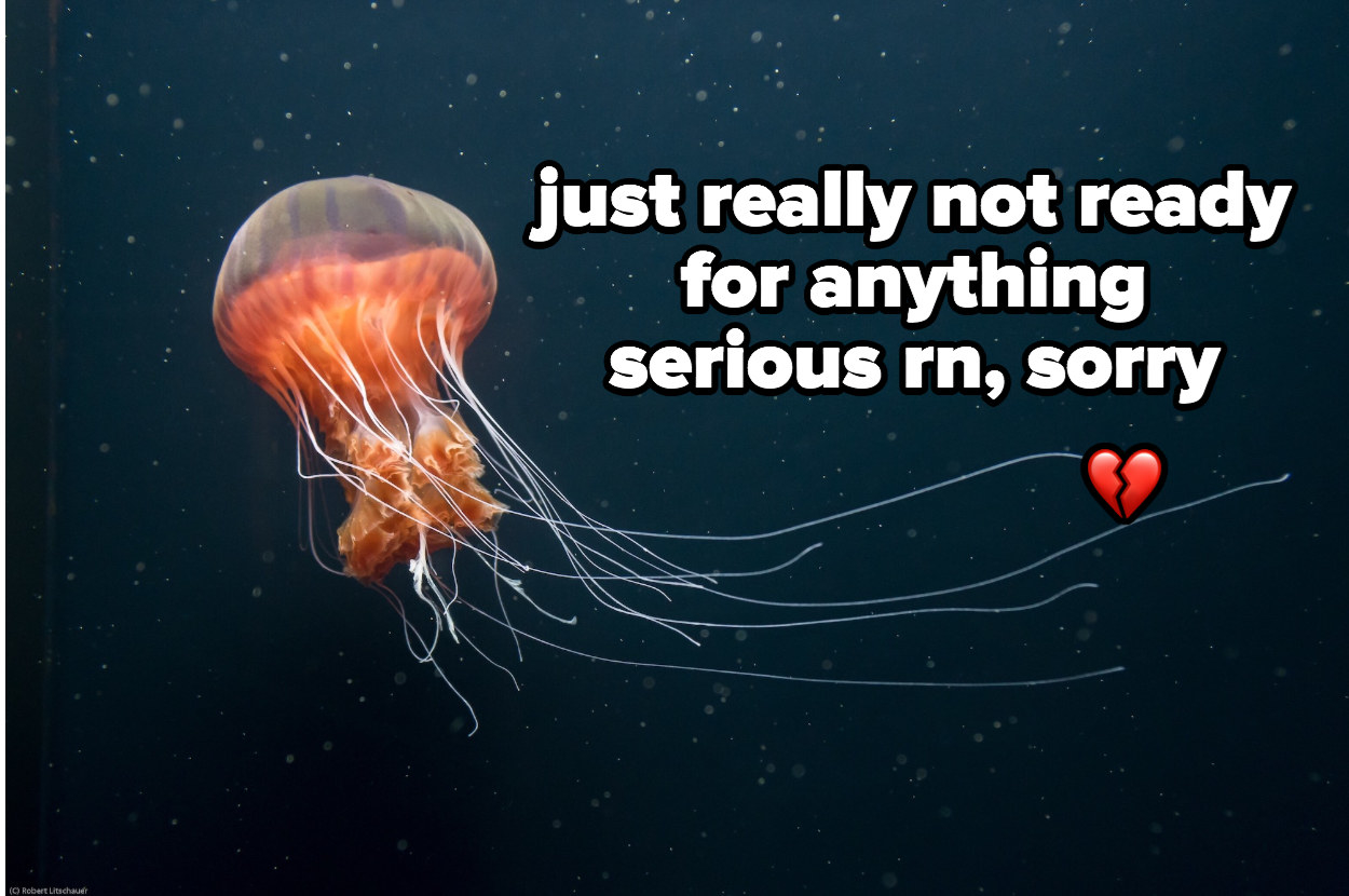 jellyfish captioned: &quot;just really not ready for anything serious right now sorry&quot;