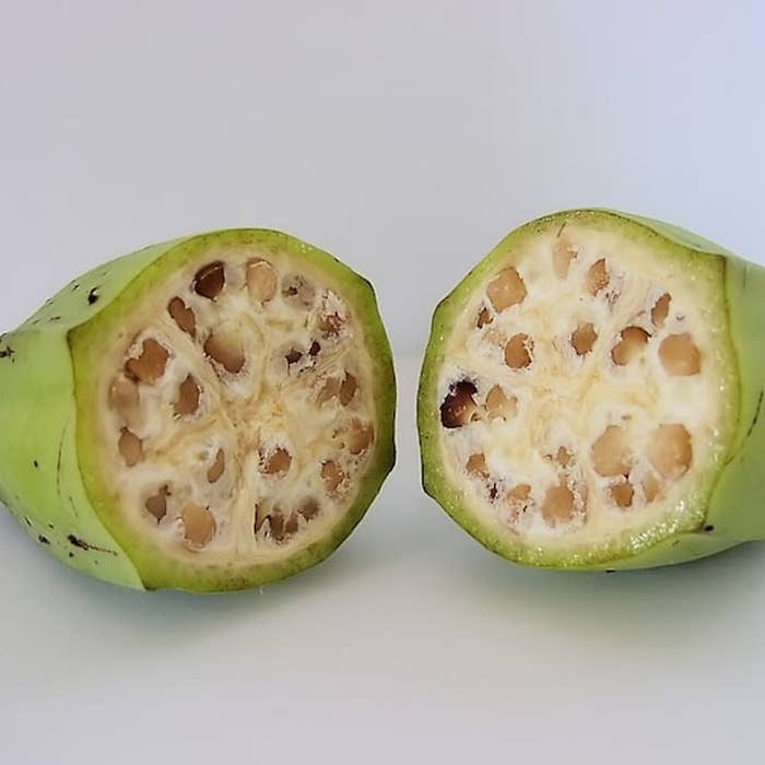 I ll Never Look At Fruits And Veggies The Same Again After Finding Out What They Looked Like