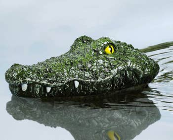 Small crocodile head shaped toy 
