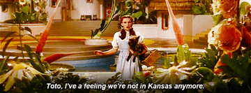dorothy saying she has a feeling they aren&#x27;t in kansas anymore