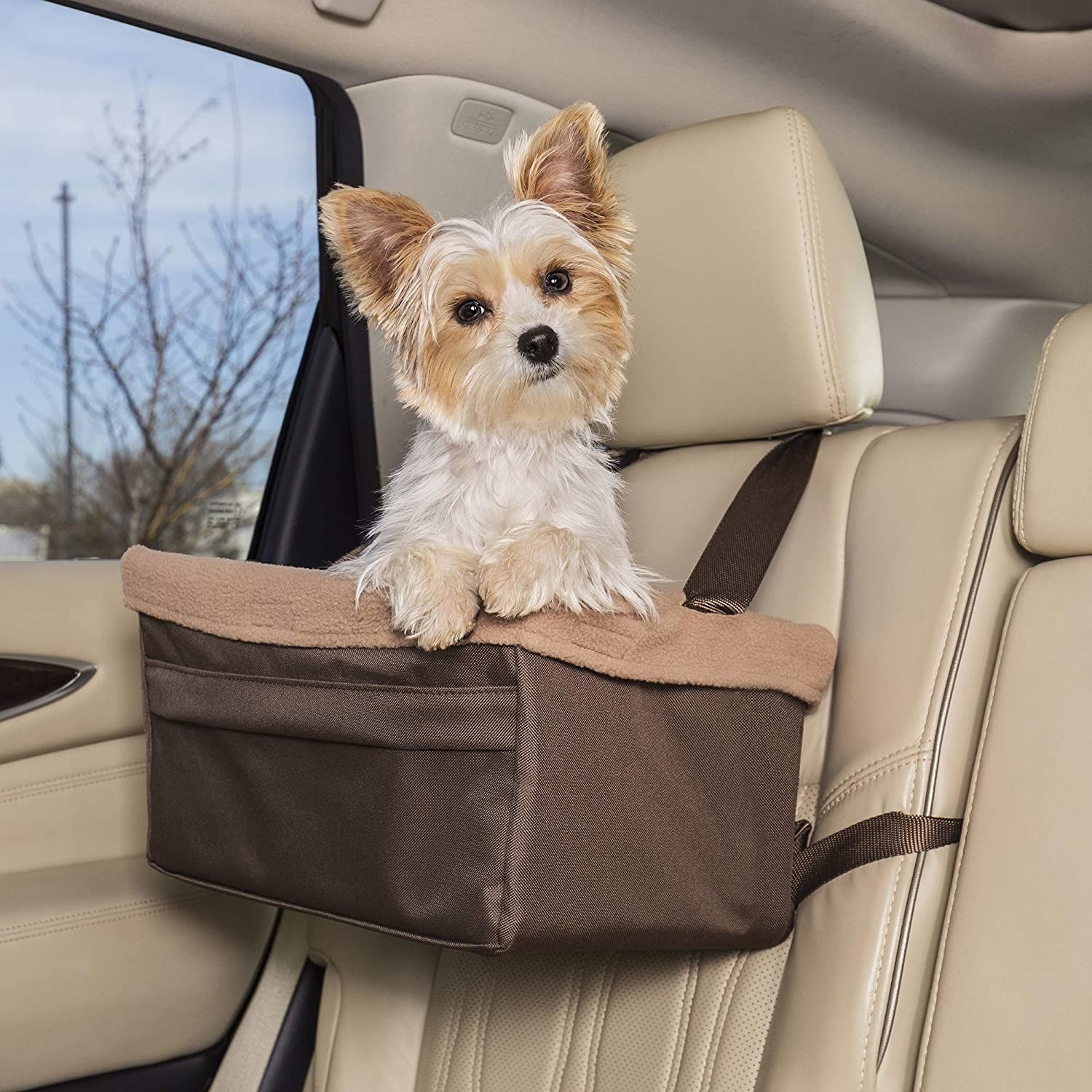 a small dog perched in the booster seat in a car 