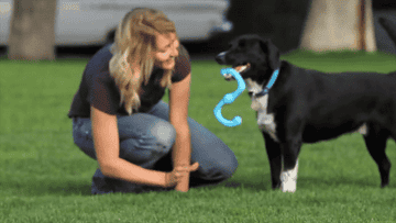 A person playing tug of war with a dog using the toy 