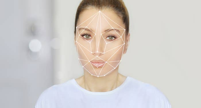 The golden ratio template on someone's face