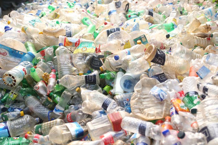 Plastic bottles in a landfill