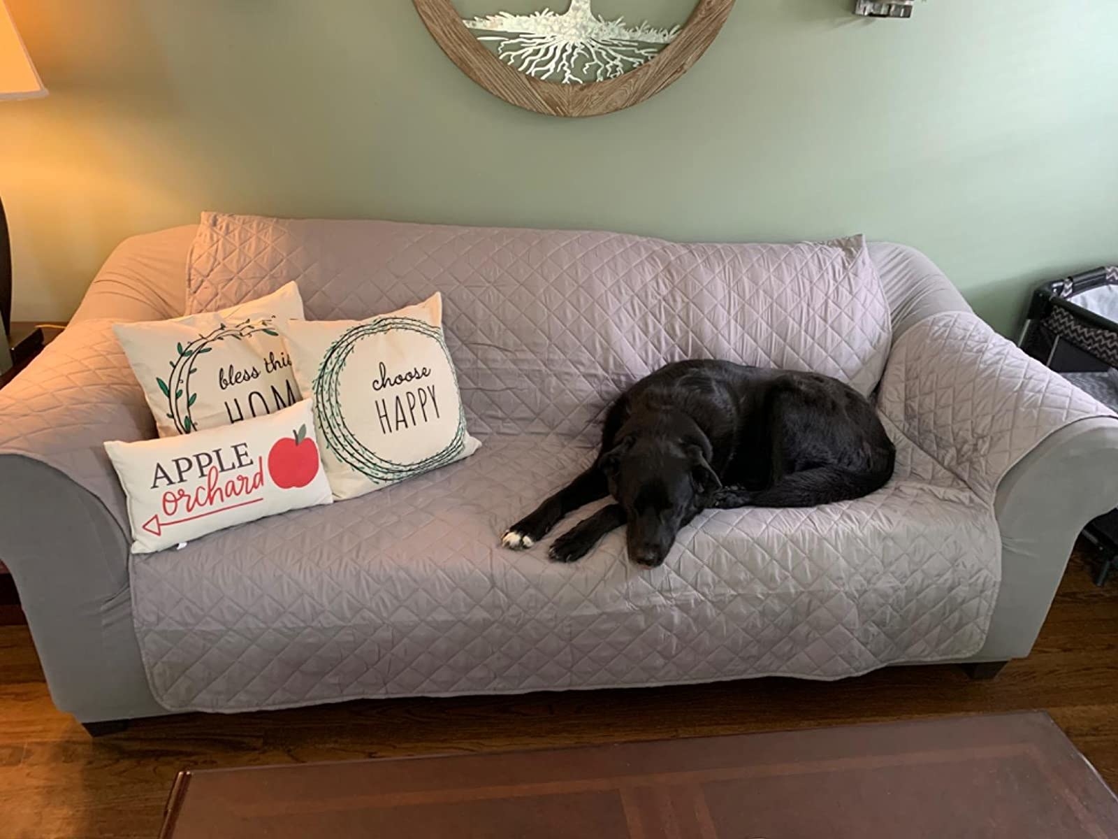reviewer photo of the light gray quilted sofa cover on a loveseat with a black dog sleeping on it